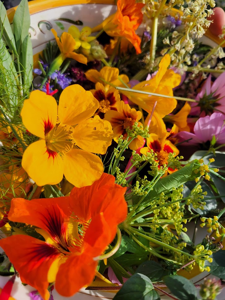 Students harvesting and learning in the garden