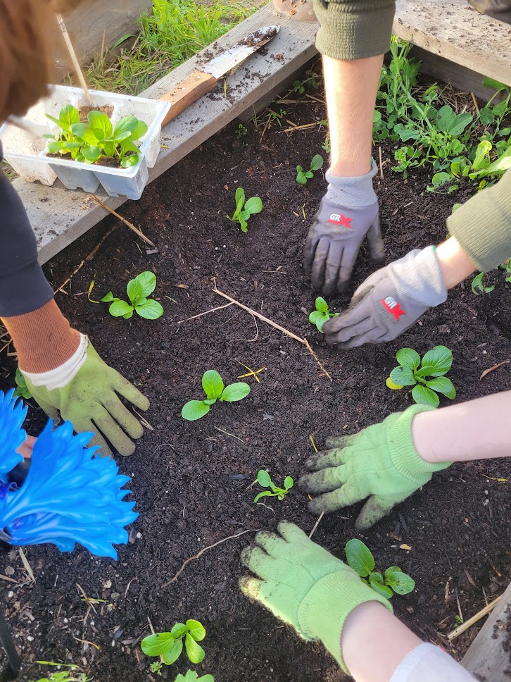 After-school garden program at a Berkeley campus