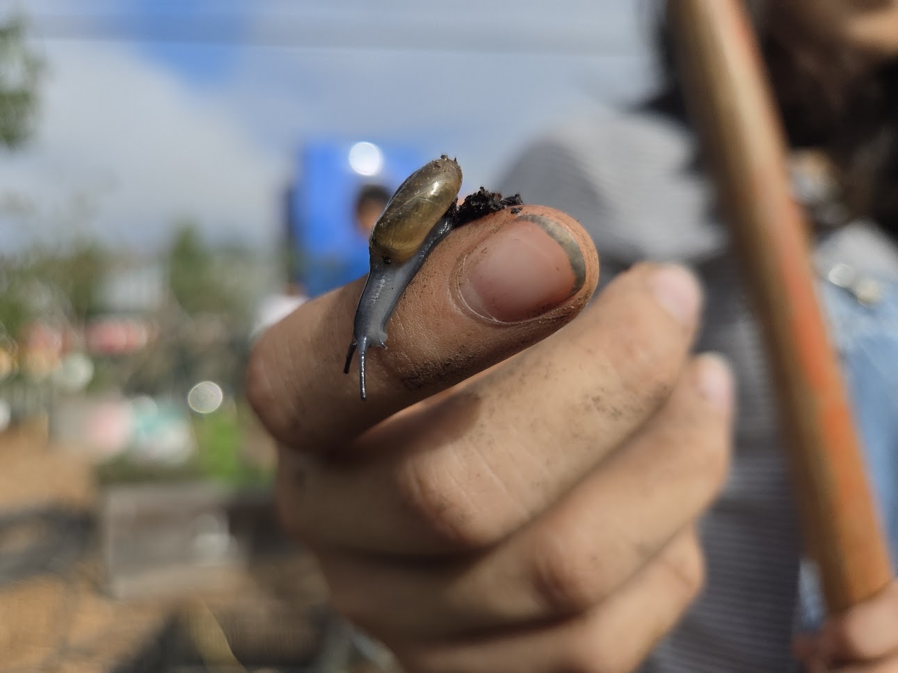School garden community action day in Berkeley